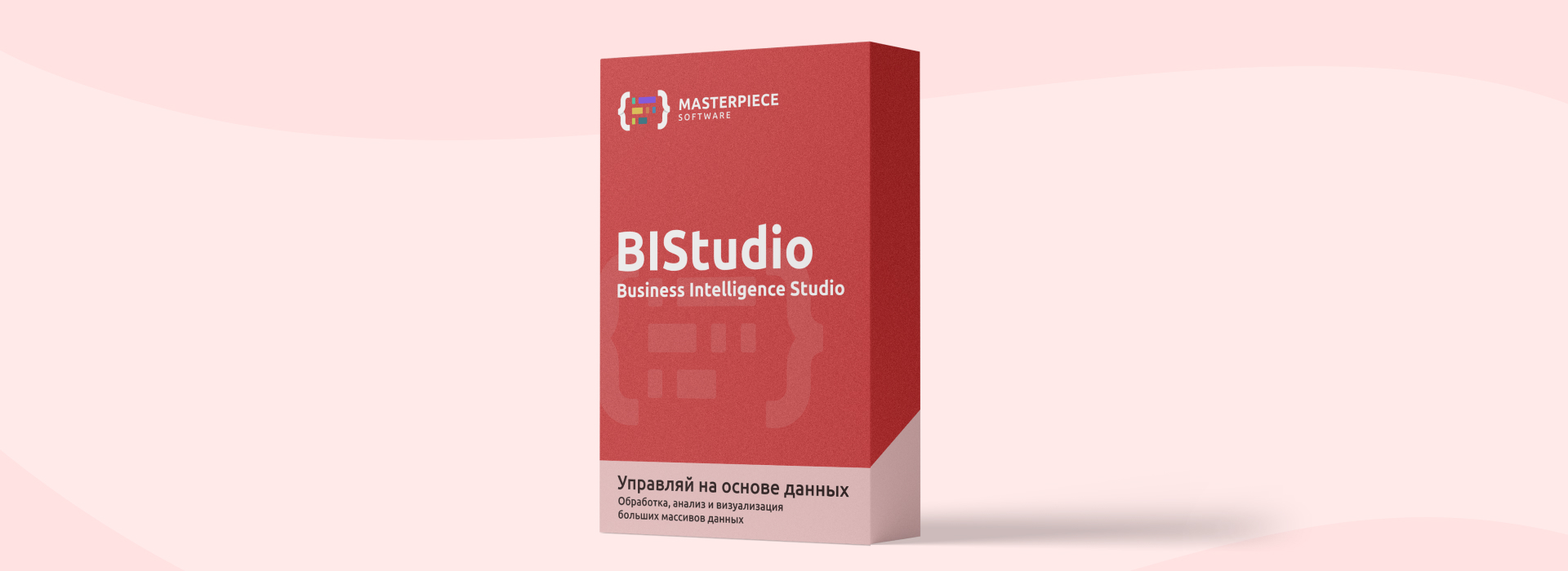 Business Intelligence Studio